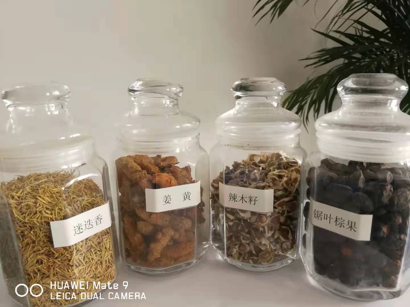 江苏山茶籽油散油