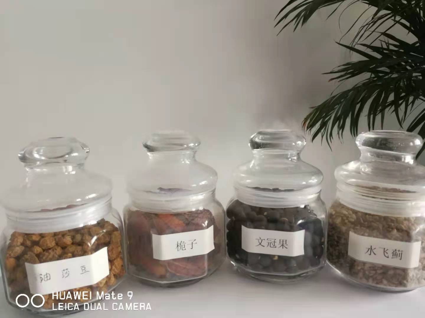 江苏企业福利牡丹籽油