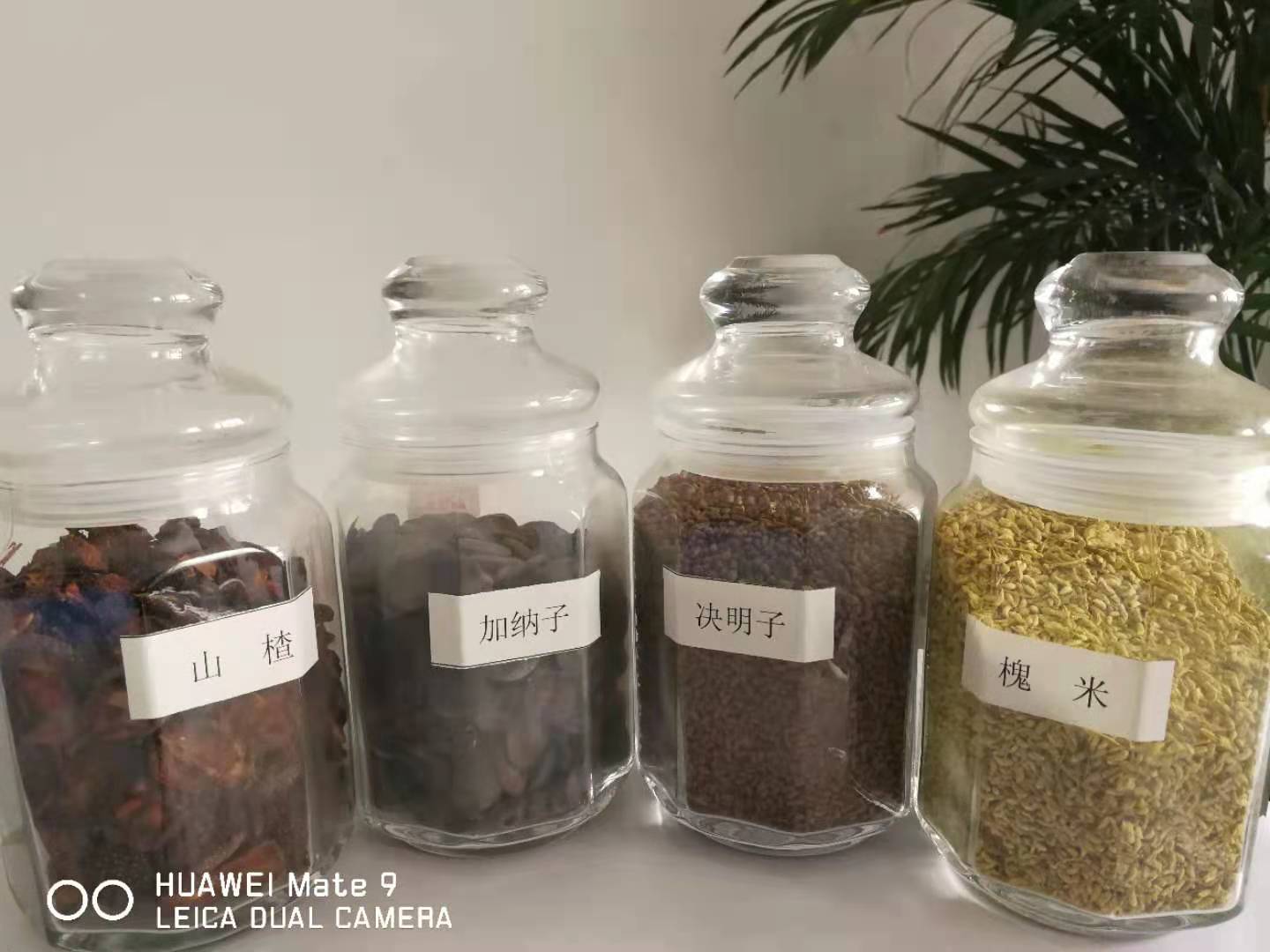 江苏电商牡丹籽油